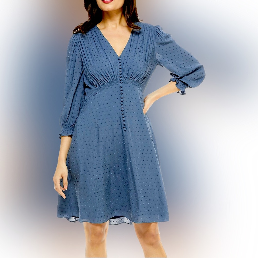 Gal Meets Glam Retro, Andrea A-Line, Swiss Dot Dress with Button accents.